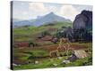 Stretched Canvas Print