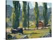 Stretched Canvas Print