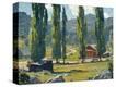 Stretched Canvas Print