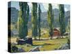 Stretched Canvas Print