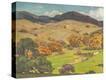 Stretched Canvas Print