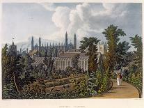 Court of Trinity College, Cambridge, from "The History of Cambridge", Pub. by R. Ackermann, 1815-William Westall-Framed Giclee Print