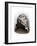 William Whipple, a Signer of the Declaration of Independence from New Hampshire-null-Framed Giclee Print