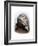 William Whipple, a Signer of the Declaration of Independence from New Hampshire-null-Framed Giclee Print