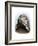 William Whipple, a Signer of the Declaration of Independence from New Hampshire-null-Framed Giclee Print