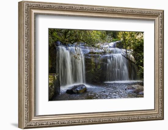 Williams Falls on the Zomba Plateau, Malawi, Africa-Michael Runkel-Framed Photographic Print