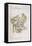 Williamsburg: Map, 1781-Louis Alexandre Bertheir-Framed Premier Image Canvas