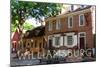 Williamsburg, Virginia - Main Steet View-Lantern Press-Mounted Art Print