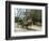 Williamsburg, Virginia, USA-Ethel Davies-Framed Photographic Print