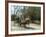 Williamsburg, Virginia, USA-Ethel Davies-Framed Photographic Print