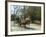 Williamsburg, Virginia, USA-Ethel Davies-Framed Photographic Print