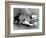 Willie Mays (1931- )-null-Framed Giclee Print