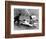 Willie Mays (1931- )-null-Framed Giclee Print