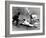 Willie Mays (1931- )-null-Framed Giclee Print