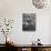 Willie Mays-Alfred Eisenstaedt-Premium Photographic Print displayed on a wall