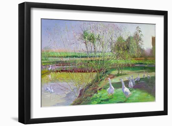 Willow and Geese, 1991-Timothy Easton-Framed Giclee Print