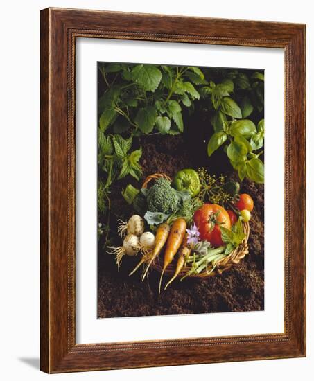 Willow Basket of Fresh Vegetables and Borage Flowers-Walter Cimbal-Framed Photographic Print
