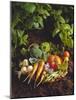 Willow Basket of Fresh Vegetables and Borage Flowers-Walter Cimbal-Mounted Photographic Print