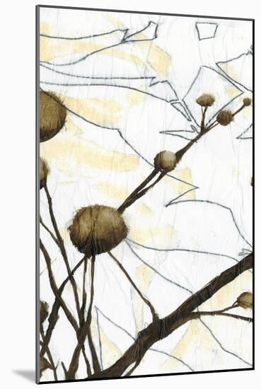 Willow Blooms I-Jennifer Goldberger-Mounted Art Print