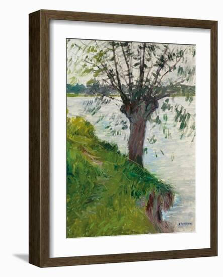 Willow by the River; Saule Au Bord De La Riviere, C. 1891-Gustave Caillebotte-Framed Giclee Print