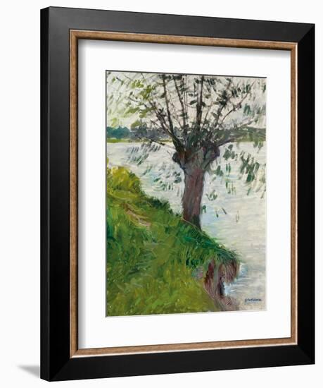 Willow by the River; Saule Au Bord De La Riviere, C. 1891-Gustave Caillebotte-Framed Giclee Print