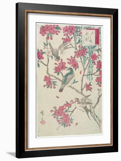 Willow, Cherry Blossoms, Sparrows and Swallow, Early 19th Century-Utagawa Hiroshige-Framed Giclee Print