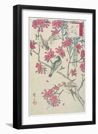 Willow, Cherry Blossoms, Sparrows and Swallow, Early 19th Century-Utagawa Hiroshige-Framed Giclee Print