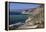 Willow Creek and Big Sur Coastline-Stuart-Framed Premier Image Canvas