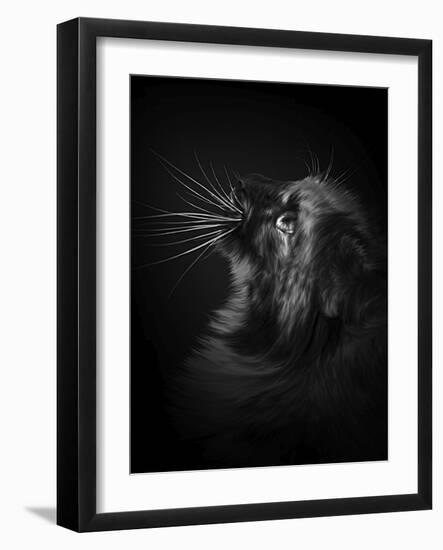 Willow-Final Copy-Lori Hutchison-Framed Photographic Print