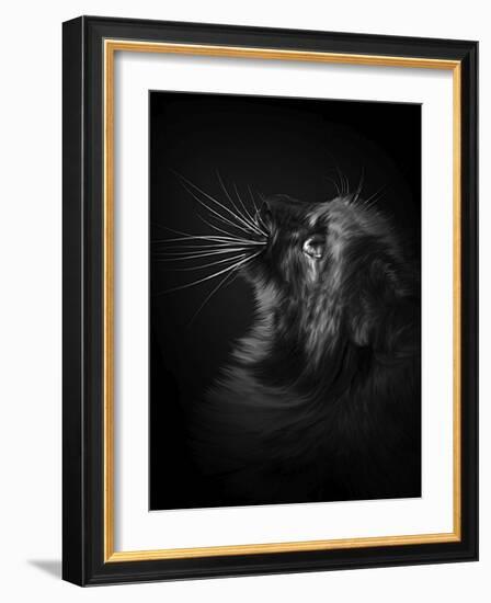 Willow-Final Copy-Lori Hutchison-Framed Photographic Print