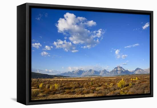 Willow Flats and Teton Range, Grand Tetons National Park, Wyoming, United States of America-Gary Cook-Framed Premier Image Canvas