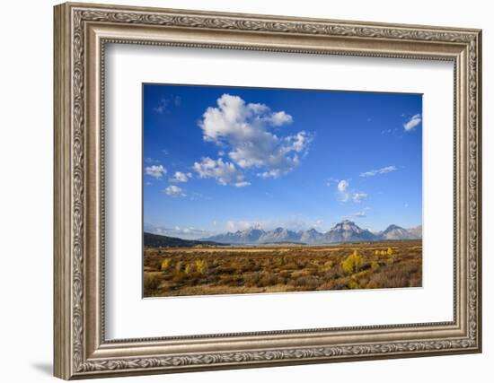 Willow Flats and Teton Range, Grand Tetons National Park, Wyoming, United States of America-Gary Cook-Framed Photographic Print