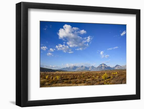 Willow Flats and Teton Range, Grand Tetons National Park, Wyoming, United States of America-Gary Cook-Framed Photographic Print