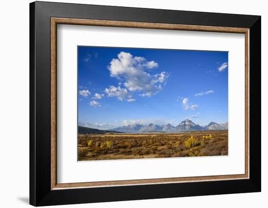 Willow Flats and Teton Range, Grand Tetons National Park, Wyoming, United States of America-Gary Cook-Framed Photographic Print