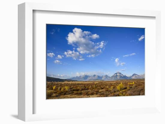 Willow Flats and Teton Range, Grand Tetons National Park, Wyoming, United States of America-Gary Cook-Framed Photographic Print