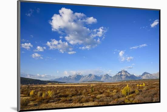 Willow Flats and Teton Range, Grand Tetons National Park, Wyoming, United States of America-Gary Cook-Mounted Photographic Print