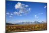 Willow Flats and Teton Range, Grand Tetons National Park, Wyoming, United States of America-Gary Cook-Mounted Photographic Print