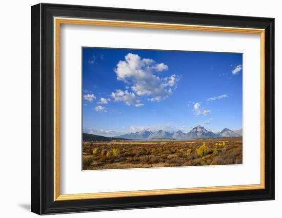 Willow Flats and Teton Range, Grand Tetons National Park, Wyoming, United States of America-Gary Cook-Framed Photographic Print