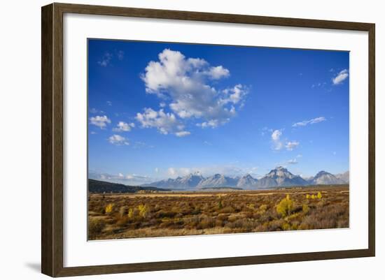 Willow Flats and Teton Range, Grand Tetons National Park, Wyoming, United States of America-Gary Cook-Framed Photographic Print