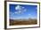 Willow Flats and Teton Range, Grand Tetons National Park, Wyoming, United States of America-Gary Cook-Framed Photographic Print