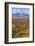 Willow Flats and Teton Range, Grand Tetons National Park, Wyoming, United States of America-Gary Cook-Framed Photographic Print