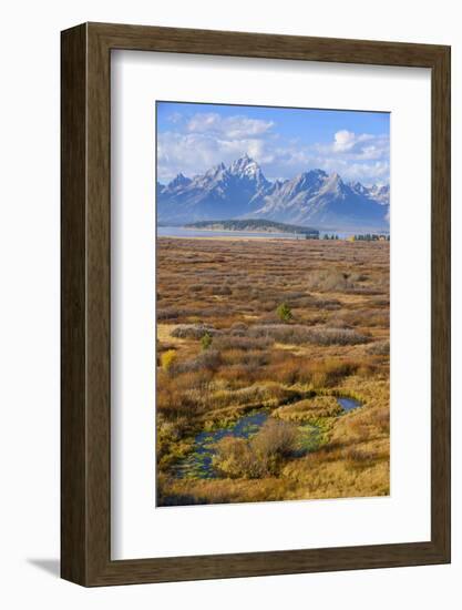 Willow Flats and Teton Range, Grand Tetons National Park, Wyoming, United States of America-Gary Cook-Framed Photographic Print