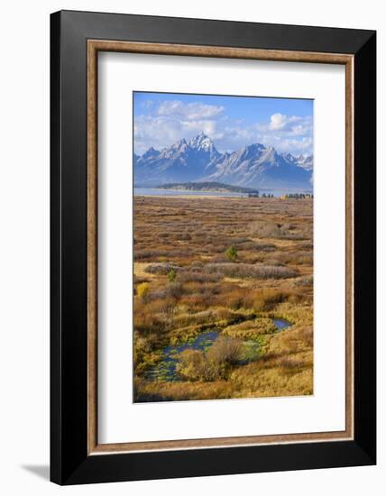 Willow Flats and Teton Range, Grand Tetons National Park, Wyoming, United States of America-Gary Cook-Framed Photographic Print