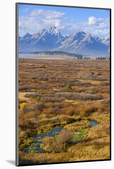 Willow Flats and Teton Range, Grand Tetons National Park, Wyoming, United States of America-Gary Cook-Mounted Photographic Print