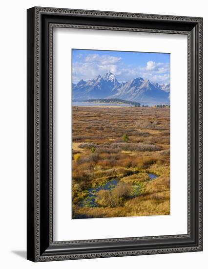 Willow Flats and Teton Range, Grand Tetons National Park, Wyoming, United States of America-Gary Cook-Framed Photographic Print