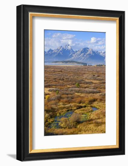 Willow Flats and Teton Range, Grand Tetons National Park, Wyoming, United States of America-Gary Cook-Framed Photographic Print