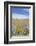 Willow Heights, United Park City Mines Company, Easement, Utah-Howie Garber-Framed Photographic Print