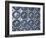 Willow Pattern Plates Embedded in the Walls of the Juna Mahal Fort, Dungarpur, India-R H Productions-Framed Photographic Print