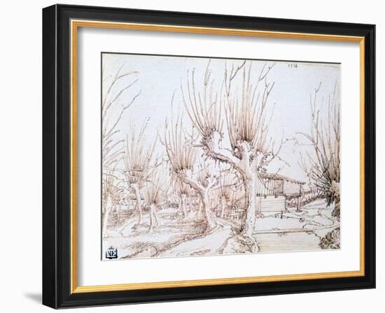 Willow Plantation, 1514-Wolf Huber-Framed Giclee Print