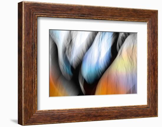 Willow's Song-Ursula Abresch-Framed Photographic Print